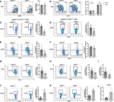 Corrigendum: LYG1 Deficiency Attenuates the Severity of Acute Graft-Versus-Host Disease via Skewing Allogeneic T Cells Polarization Towards Treg Cells